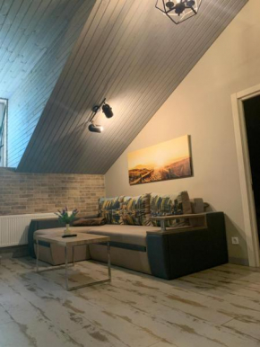 Luxury apartment in the heart